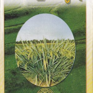 SAVAYAVA BHATTADA KRUSHI